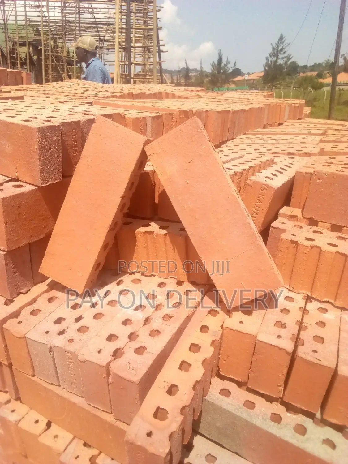 We Lead in the Sector (Half Bricks)
