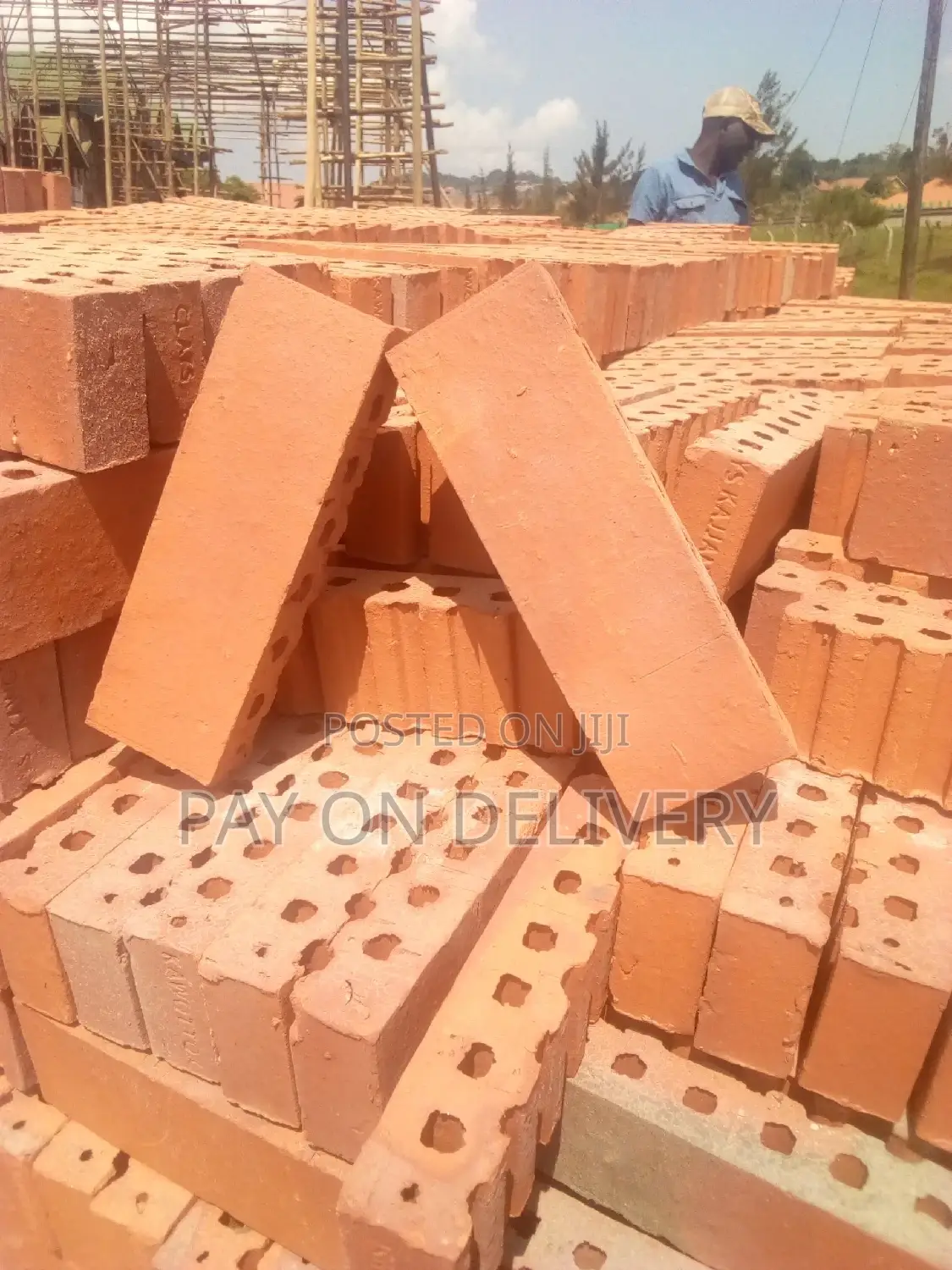 We Lead in the Sector (Half Bricks)