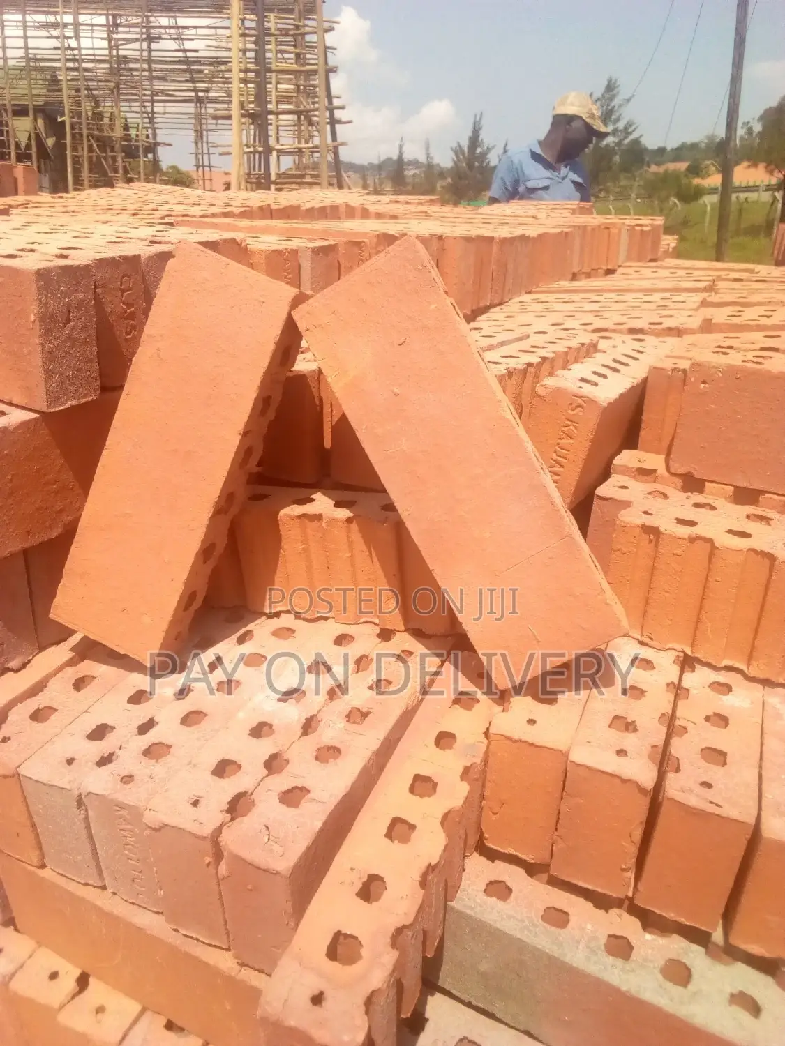 We Lead in the Sector (Half Bricks)
