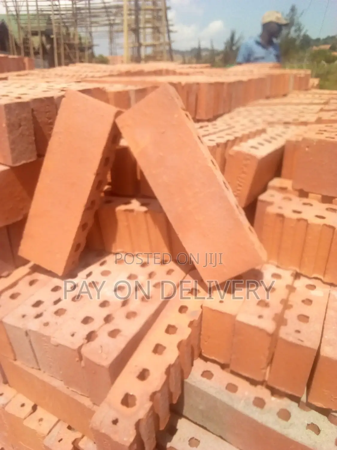 We Lead in the Sector (Half Bricks)