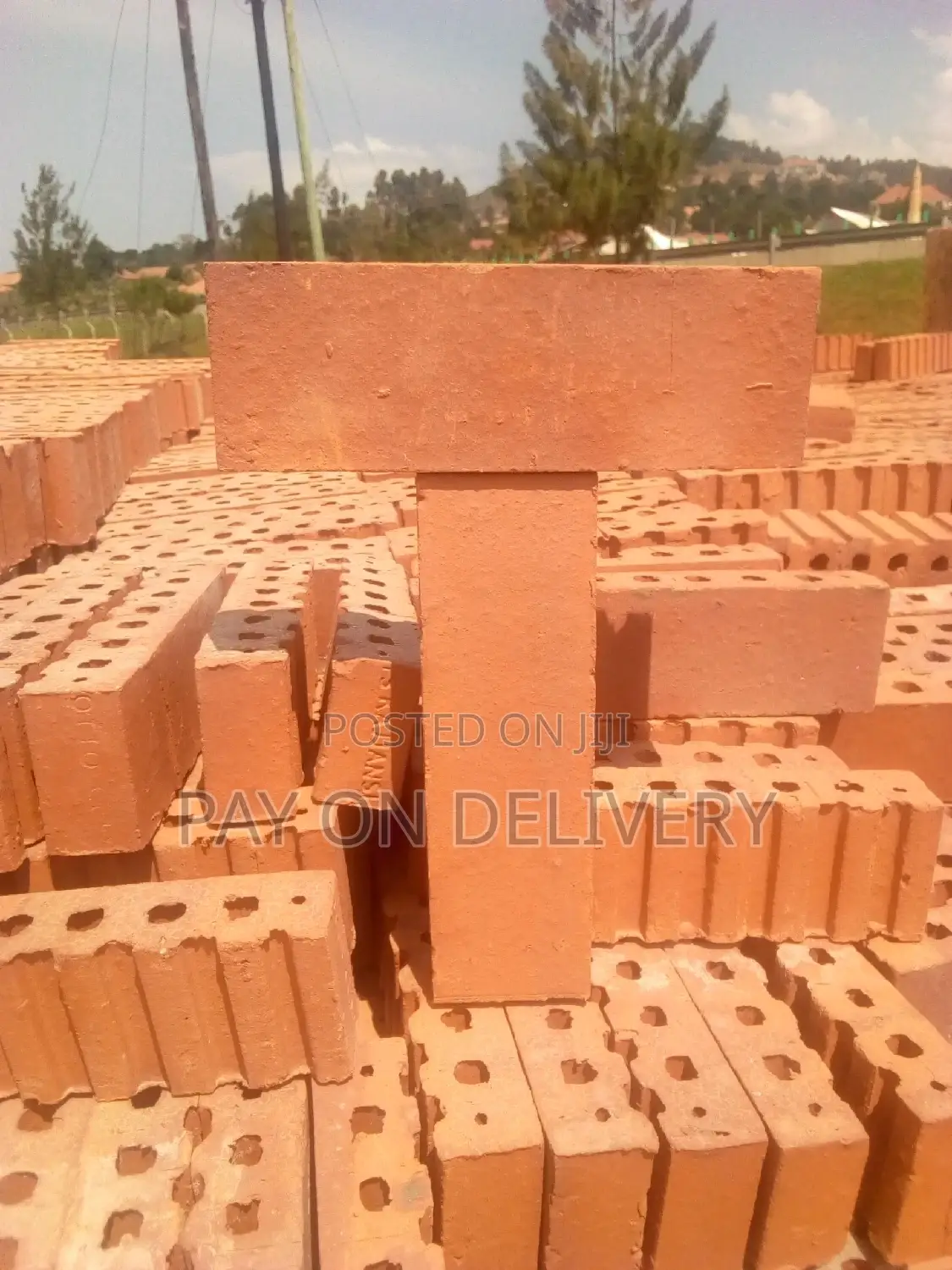We Lead in the Sector (Half Bricks)