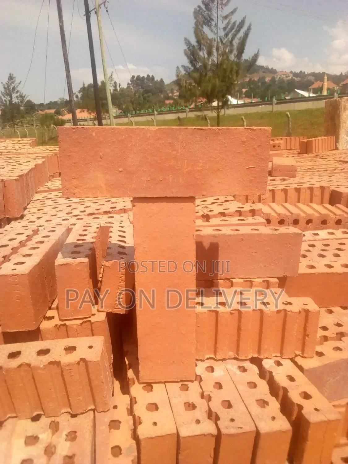 We Lead in the Sector (Half Bricks)