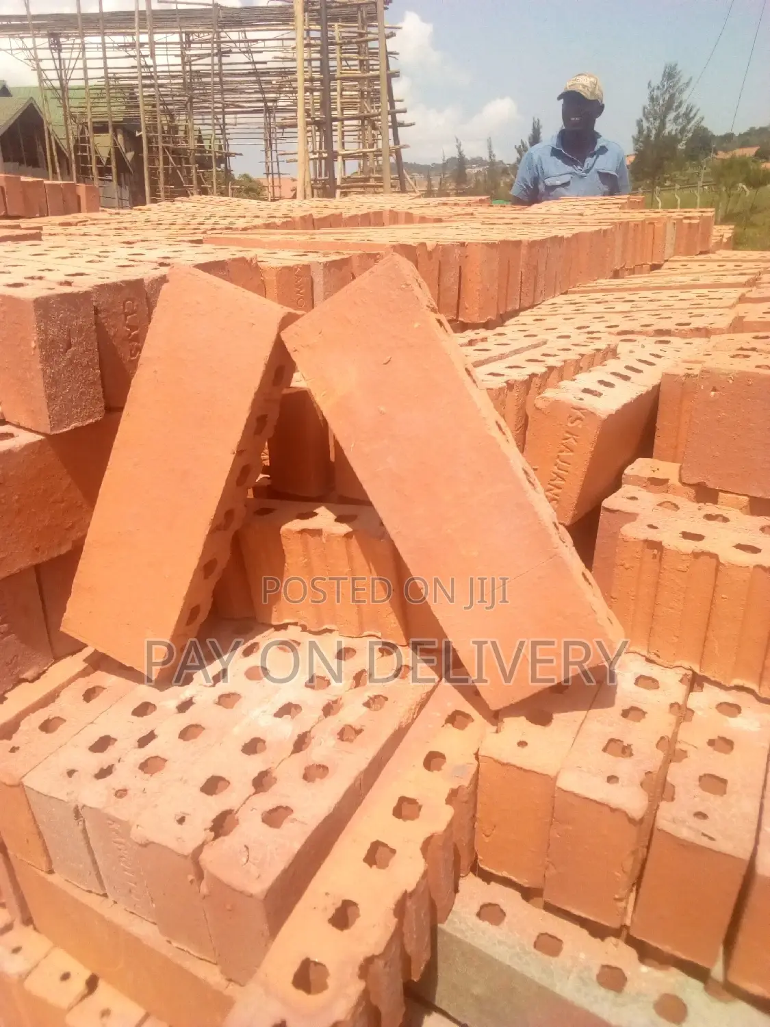 We Lead in the Sector (Half Bricks)
