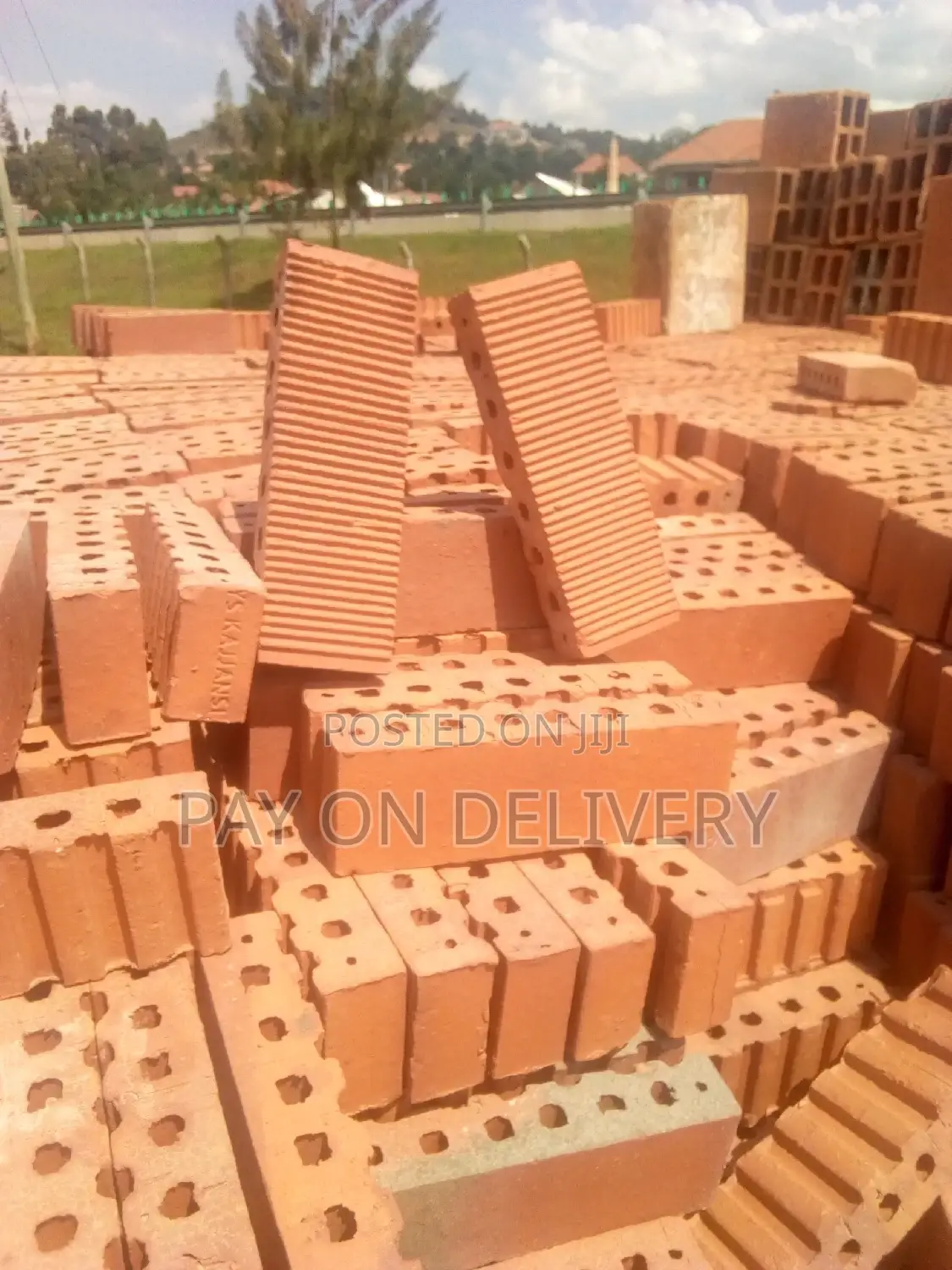 We Lead in the Sector (Half Bricks)