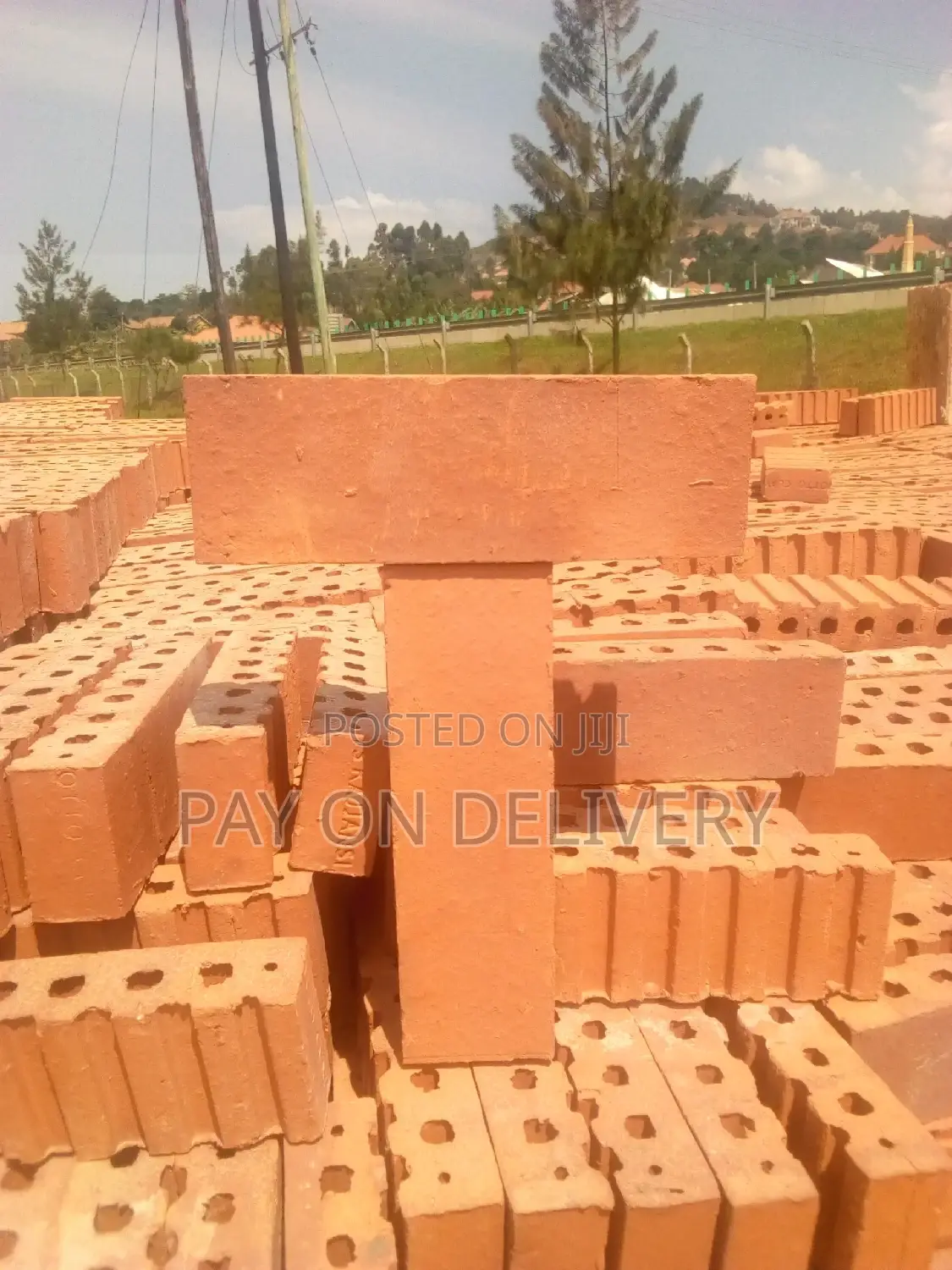 We Lead in the Sector (Half Bricks)