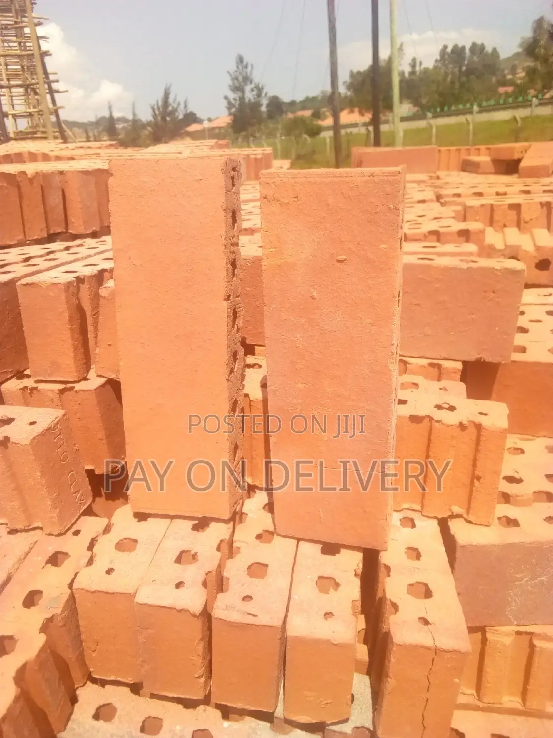We Lead in the Sector (Half Bricks)