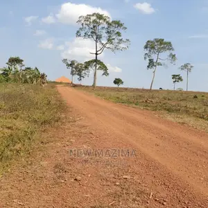 Kajjansi Ntebe Rd Nakilama Prime Plots Quicksale With Title