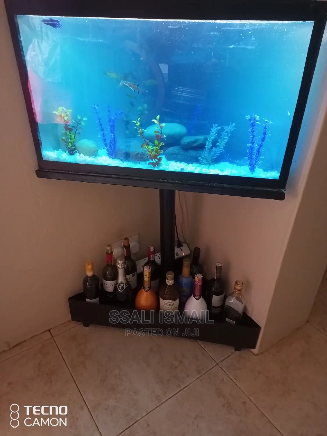 Simple Triangular Aquarium