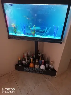 Simple Triangular Aquarium