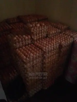 Eggs For Sale
