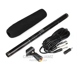 Boom Panasonic Microphones/Condenser Microphone
