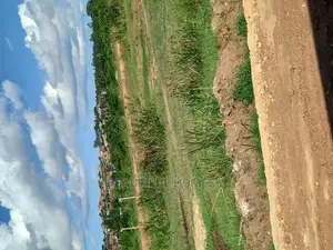 Good Land in Kira on Sell
