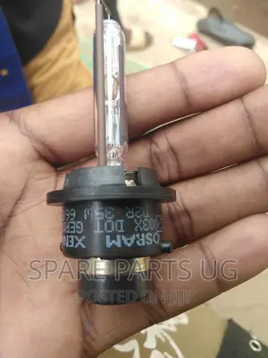 D4 / D2 Xenon Bulbs