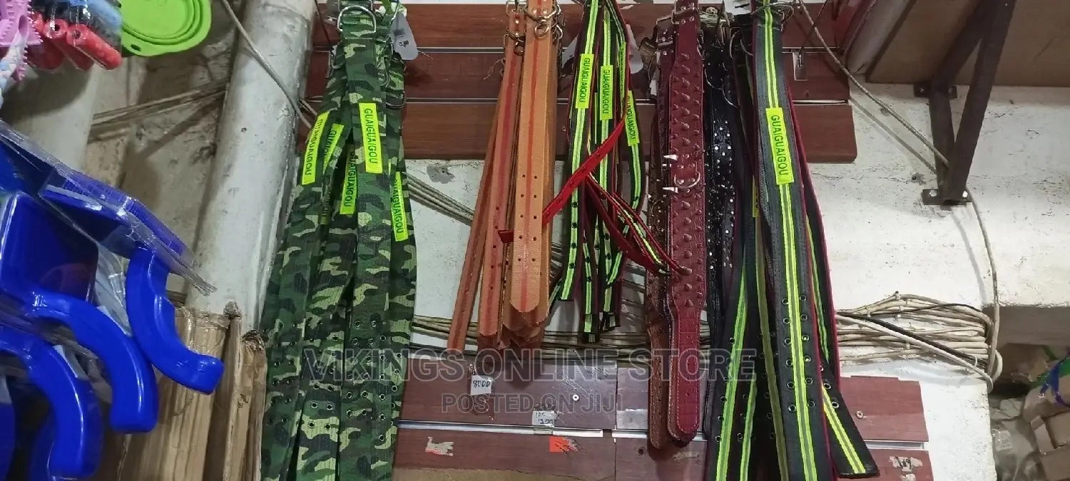 Durable Dog Collars of Various Sizes