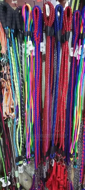 Durable Dog Leashes of Various Colours