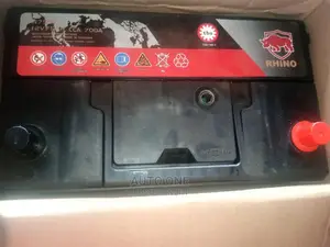N75-70z Rhino Batteries.