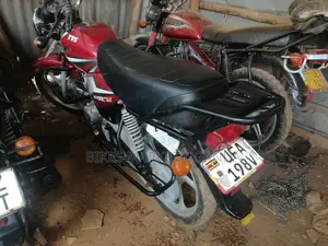 TVS Apache 160 4V 2019 Red
