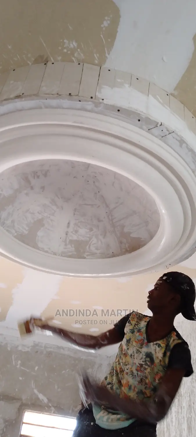Gypsum Board Ceiling and Paint