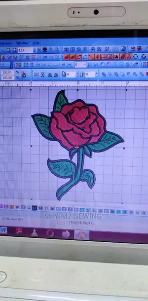 Professional Digitizing