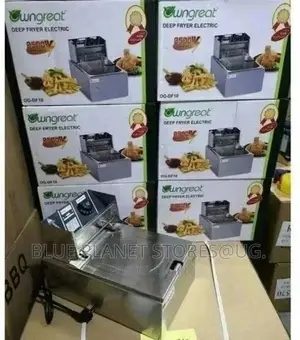 Owngreat 6.0litres Single Deep Fryers || 2500w || OG-DF10