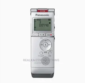 PANASONIC RR-XS350 Silver 2GB Inbuilt Memory Sound Recorder