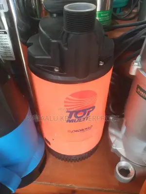 PEDROLL Submersible Water Pumps ITALY