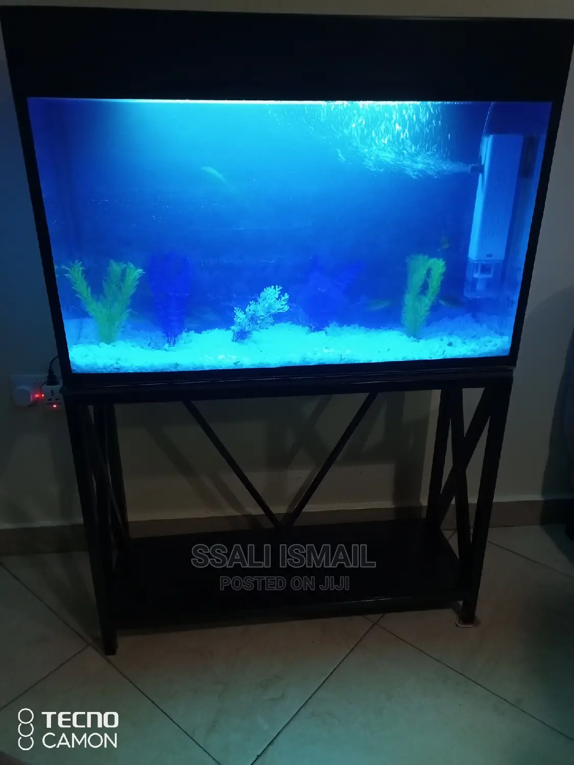 We Make Fantastic Aquarium in All Shapes