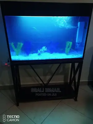 We Make Fantastic Aquarium in All Shapes