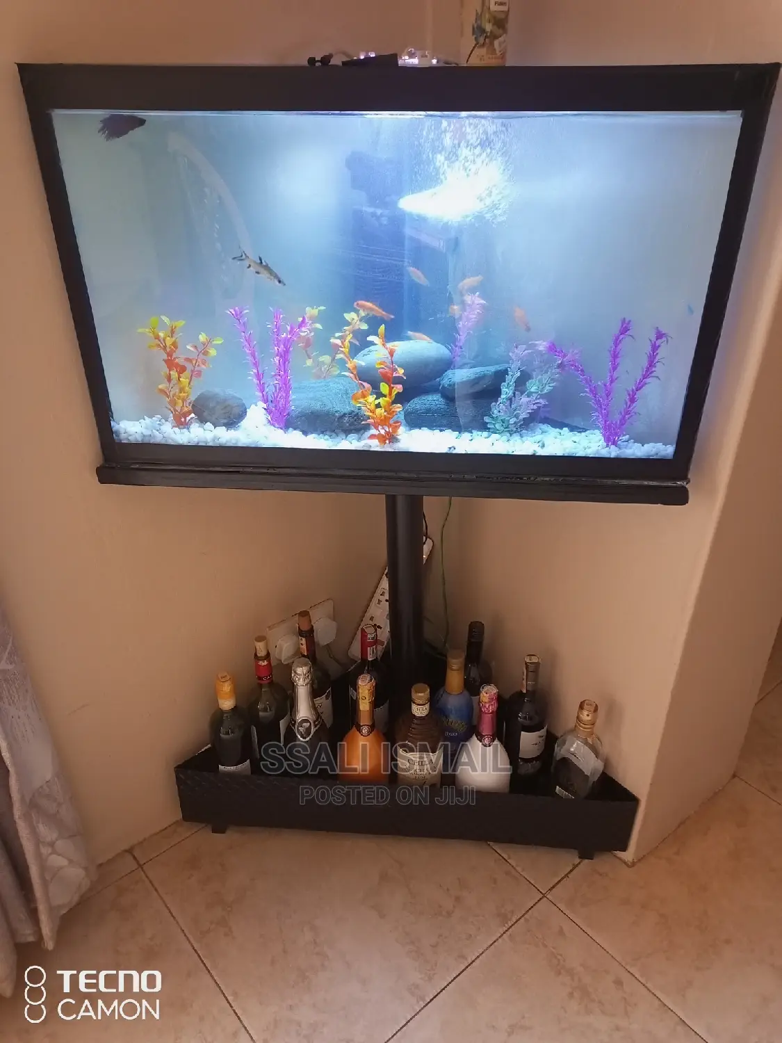 We Make Only Fabulous Aquariums in All Designs