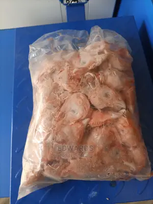 Fresh Dog Food