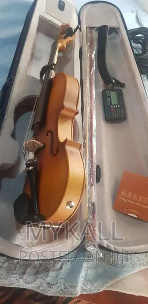4/4 Electric Violin