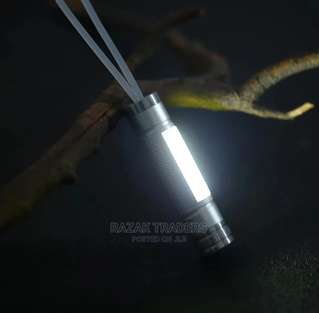 MINI LED Flashlight COB Work Light Powered by One AAA