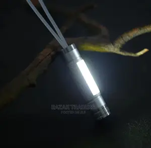 MINI LED Flashlight COB Work Light Powered by One AAA
