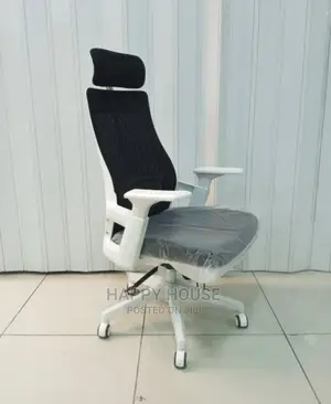 Ergonomic Office Chairs
