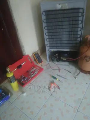 Professional Fridge Repairs