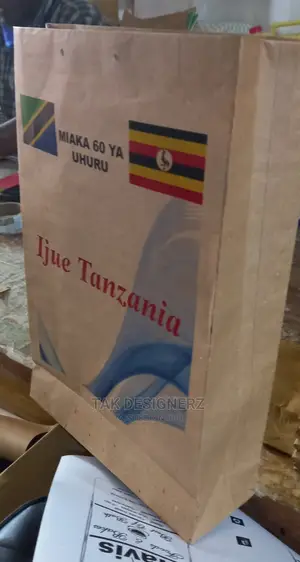 Paper Bags With Back White