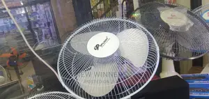 DP Ceiling Fan