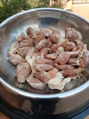 Dog Food Gizzard Ducts