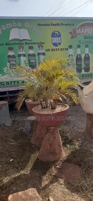 Original Flower Pots