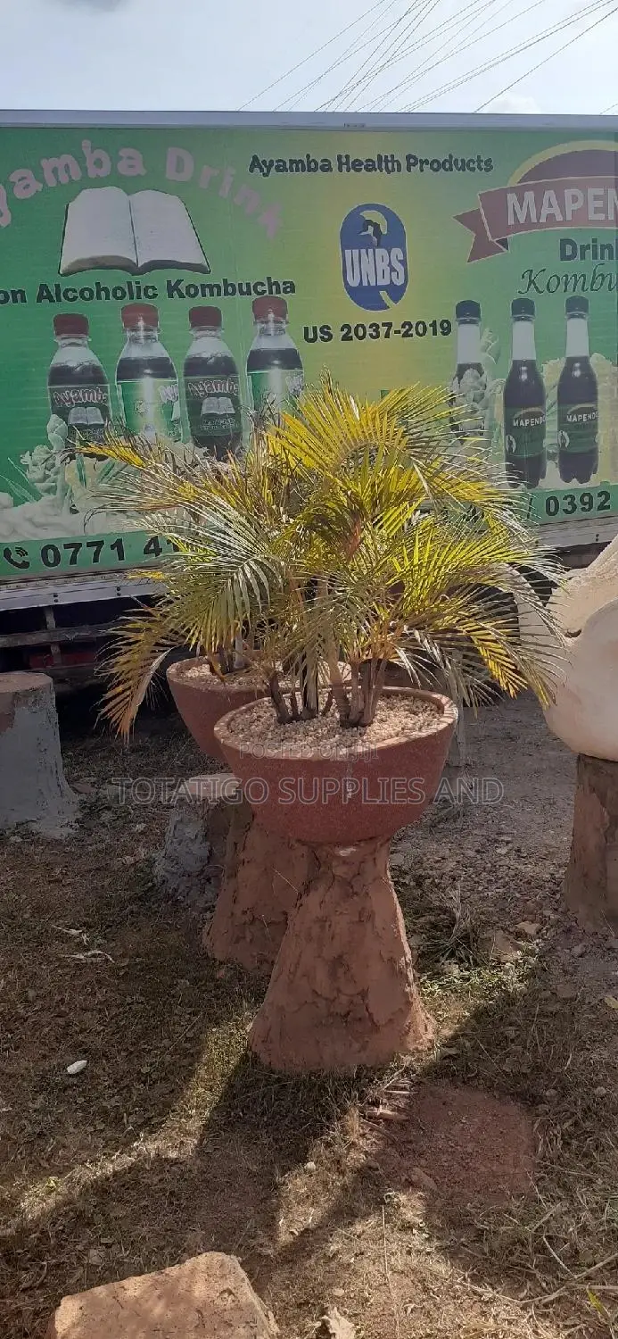 Original Flower Pots