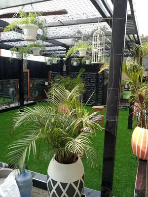 Grass Carpet/Artificial Turf/Grass Carpet