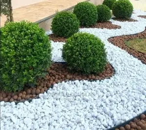 Kigoolo Pavers Services UG 1