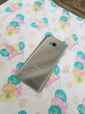 Samsung Galaxy S8 Plus 64 GB Silver