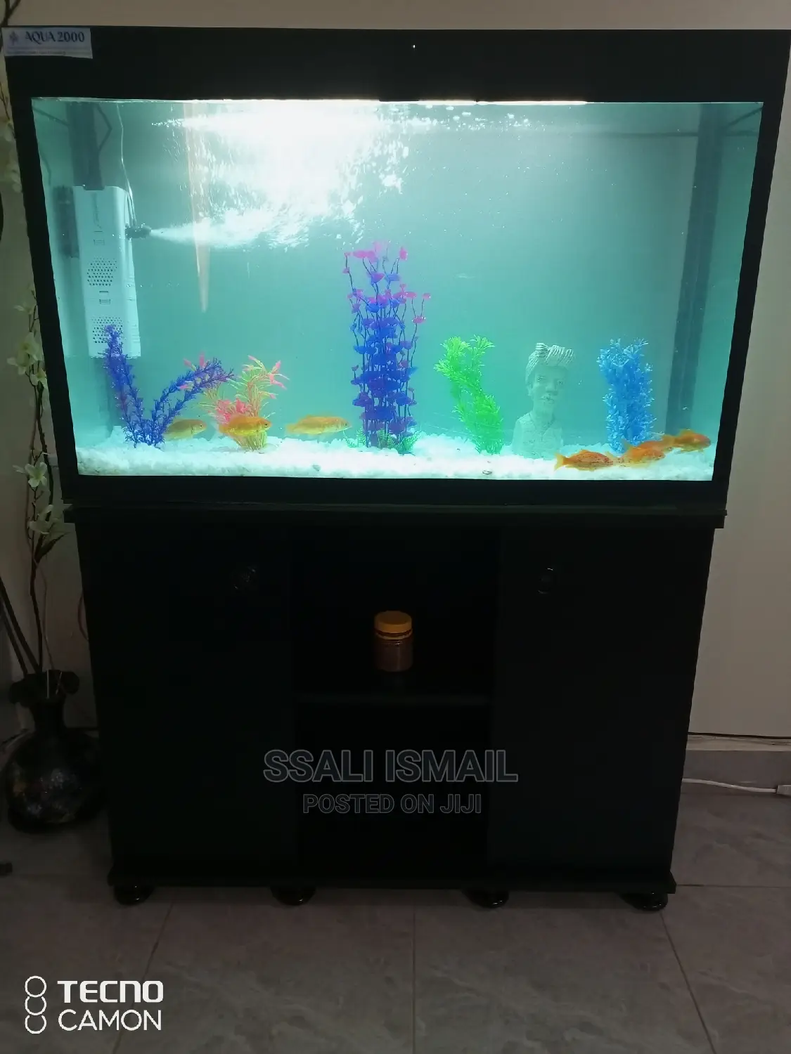 Full Black Aquarium With Durable Wooden Stand