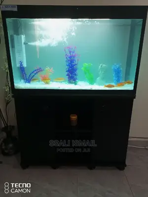 Full Black Aquarium With Durable Wooden Stand