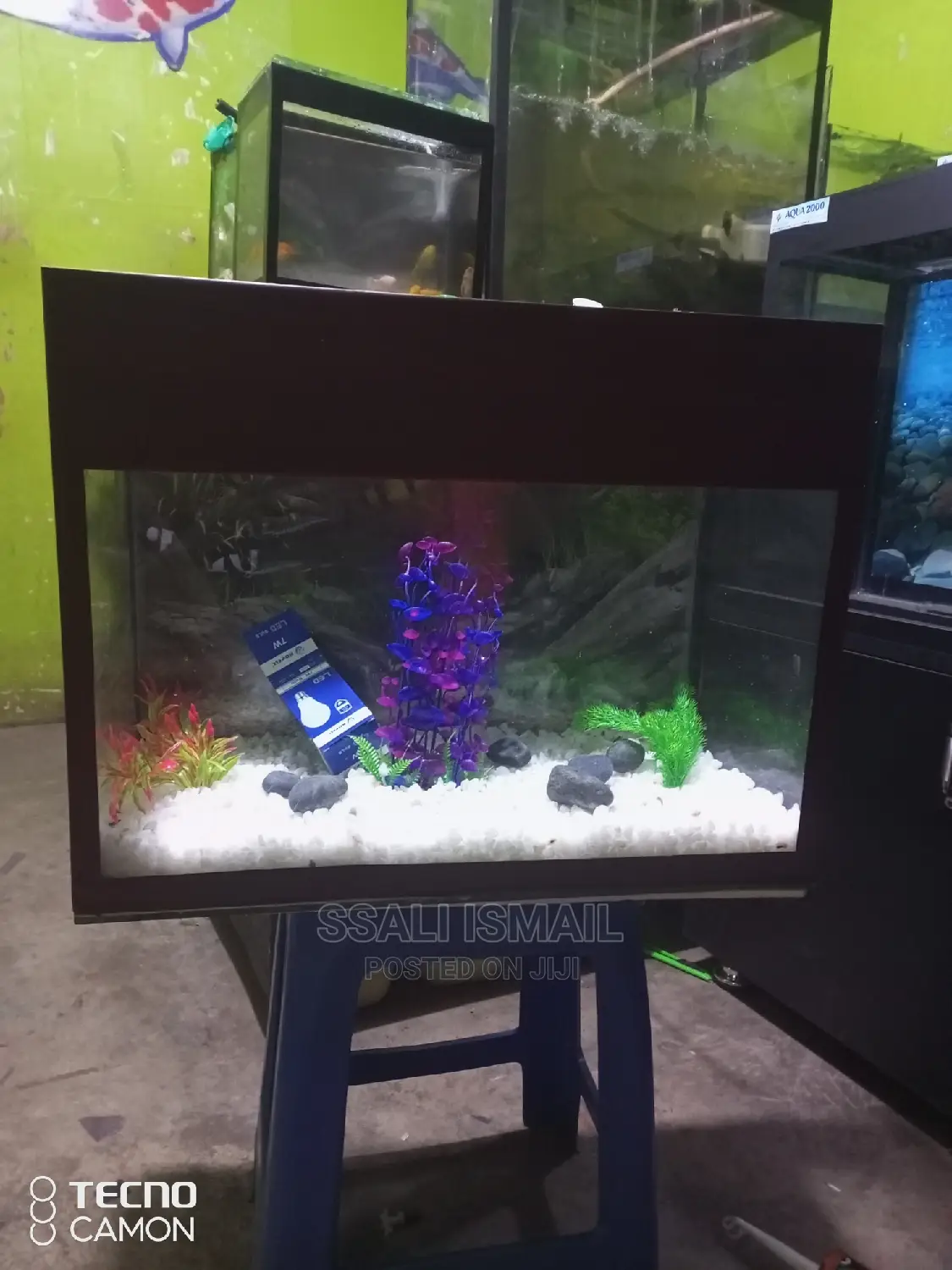 We Make Quality Aquarium for Our Clients Satisfaction