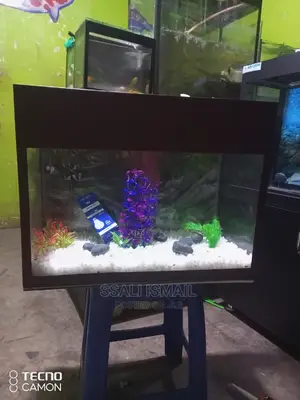We Make Quality Aquarium for Our Clients Satisfaction