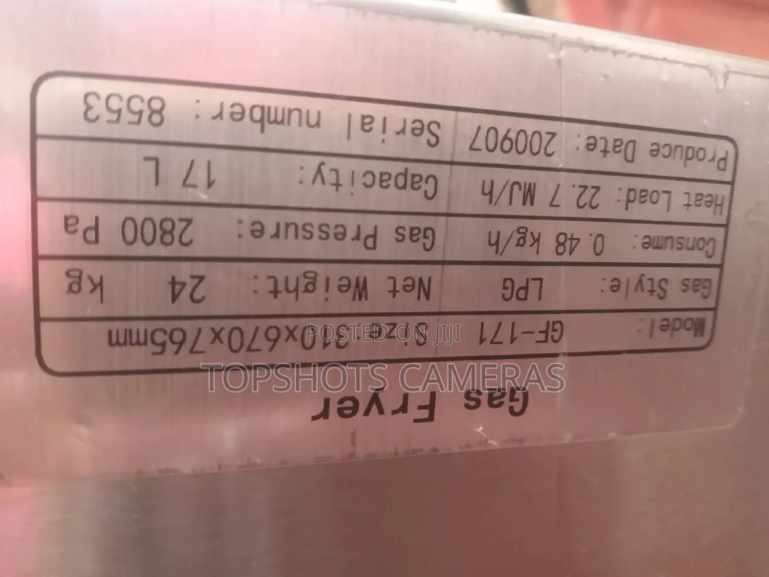 Linkrich Gas Deep Fryer