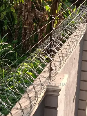 Electric Fence System With Razor Wire