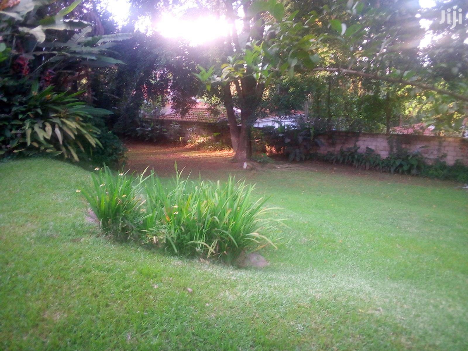 Three Bedroom Bungalow For Rent